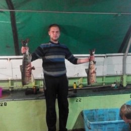 Парень ищет девушку для встречи и не только в Туле Парень ищет девушку для встречи и не только в Туле